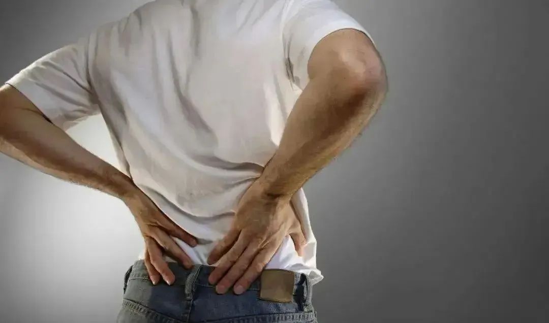 1685581624107494.jpg 640.jpg