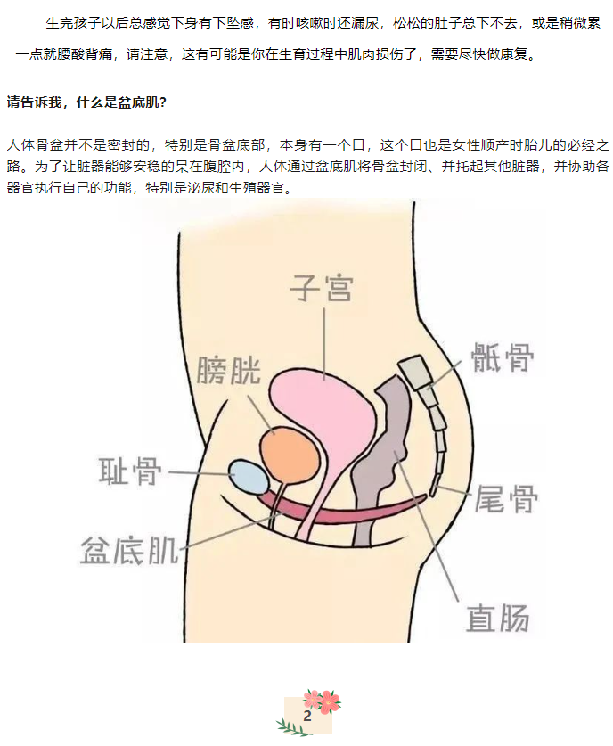 1708736939772297.png image.png