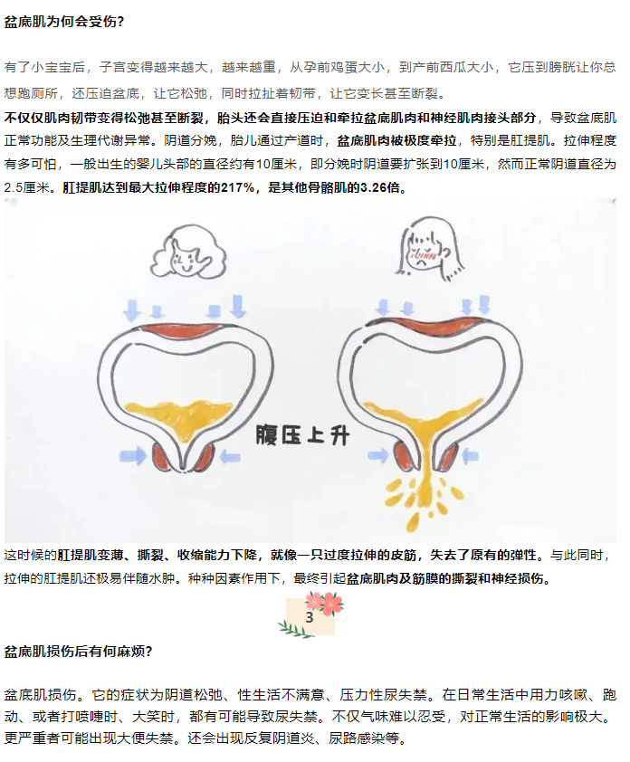 1709880341838201.png image.png