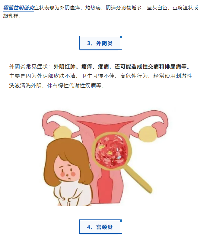 1730449648301627.png image.png